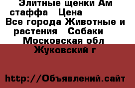 Элитные щенки Ам.стаффа › Цена ­ 25 000 - Все города Животные и растения » Собаки   . Московская обл.,Жуковский г.